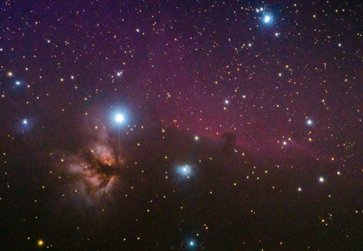 Flame and Horsehead nebulae-3