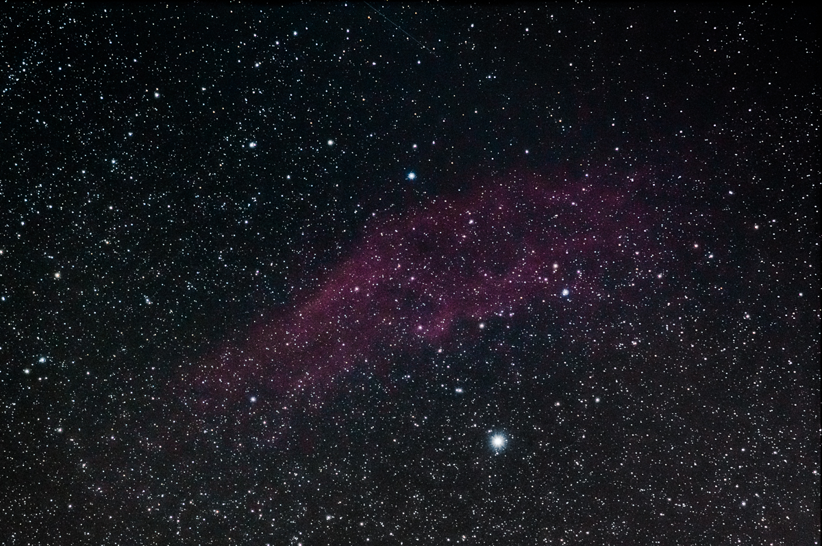 California udukogu, NGC 1499