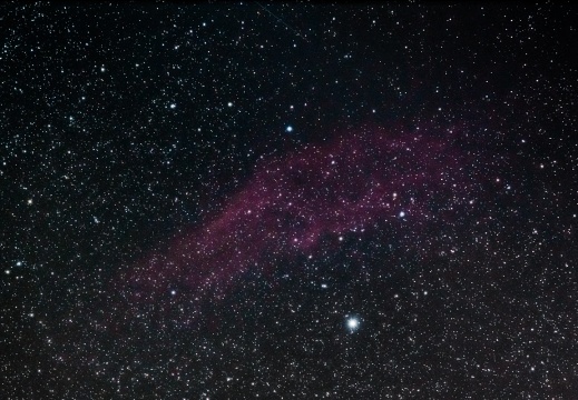 California udukogu, NGC 1499
